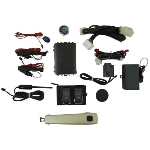 EasyGO AM-GMT-316N Smart Key Remote Start and Alarm System with Gold Mist Metallic Door Handle