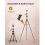 TaoTronics 12'' Selfie Ring Light with 3 Color Modes, 10 Adjustable Brightness, 61“ Extendable Tripod Stand, 2 Phone Holders, Bluetooth Remote Shutter for Photography/Makeup/Live Stream/YouTube/Vlogs