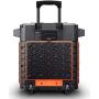 ION Audio Raptor | Ultra-Portable 100-Watt Wireless Water-Resistant Speaker with 75-Hour Rechargeable Battery, Bluetooth Streaming, AM/FM Radio and Multi-Color Light Bar