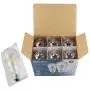 Edison Led Bulbs Dimmable Light Bulb 8W - 75 Watt Equivalent Vintage Style Filament Bulb 2700K Warm White E26 650 Lumen 6-Pack