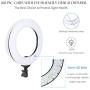 ZOMEI 14 inch LED Ring Light, Dimmable 41W 5500k Output Makeup and YouTube Video Light Professional Photography Lights with Stand, Orange Plastic Filters and Carrying Bag