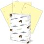 Hammermill Colored Paper, 20 lb Canary Printer Paper, 3 Hole - 1 Ream (500 Sheets) - Made in the USA, Pastel Paper, 102921R