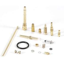 QMOKO Carburetor Rebuild Kit Carb Repair for Honda TRX 300 TRX300 Fourtrax 1993-2000 (1993 1994 1995 1996 1997 1998 1999 2000)