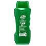 Irish Spring 5-in-1 Shampoo, Conditioner, Body Wash, Face Wash and Deodorizer, 18 oz (Pack of 2)