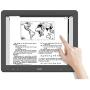 Dasung E-Ink Paper Like 3 HD Front-Light and Touch 13.3'' Monitor
