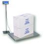 Salter-Brecknell PS500-42S Compact Light Weight Floor Scale with LCD Display, 42'' Length x 22'' Width x 2'' Height, 500lbs Capacity