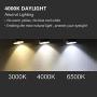 LED Edison Vintage Light Bulbs, 4W 4000K Daylight White, Dimmable LED Edison Bulb Antique LED Filament Bulbs, Clear Glass, 40W Equivalent, 380LM, ST64, E26 Base (4W-4000K-6Pack) (6)