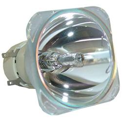 Lamp Replacement for Philips UHP 190-160W 0.9 E20.9