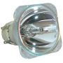 Lamp Replacement for Philips UHP 190-160W 0.9 E20.9