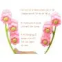 Face Massager,SinLoon Facial Massage, Flower Type Massage Roller for V Face Pull Tight Firming, Beauty Tool (Pink) Face Massager,SinLoon Facial Massage, Flower Type Massage Roller for V Face Pull Tight Firming, Beauty Tool (Pink)