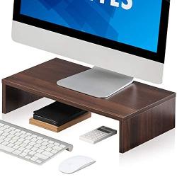 FITUEYES Computer Monitor Riser Laptop Desktop Stand for Monitors DT104203WB