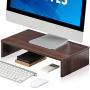 FITUEYES Computer Monitor Riser Laptop Desktop Stand for Monitors DT104203WB