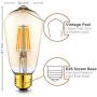 Vintage LED Edison Light Bulbs: 4 Watt, 2200K Warm Lightbulbs - Amber Gold Glass - 40 Watt Equivalent - E26 Base - Decorative Antique Light Bulb Set - 4 Pack