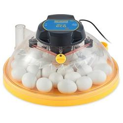 Brinsea Products USAC25C Maxi II Eco Manual 30 Egg Incubator, One Size, Yellow/Black