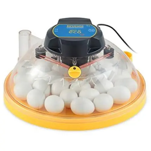 Brinsea Products USAC25C Maxi II Eco Manual 30 Egg Incubator, One Size, Yellow/Black
