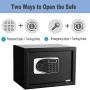 Electronic Security Safe Box, LED Digital Lock Box 0.57 Cubic Feet, 13.7 x 9.8 x 9.8 inches Key Combination Code Safe Box Steel Money Box for Home, Office, Hotel