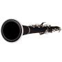 Jean Paul USA CL-300 Student Clarinet