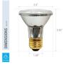 (Pack Of 12) 39PAR20/FL 120V - 39 Watt High Output (50W Replacement) PAR20 Flood - 120 Volt Halogen Light Bulbs