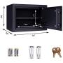 AEGIS 0.57 cu.ft Safe Box Electronic Security Safes and Lock Boxes, Home Safe with Battery and Keys for Hotel Office Cash Jewelry(Black)