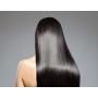 ARGAN OIL CONDITIONER Hair Loss Prevention Therapy Smooth and Sleek therapeutic Conditioner 8.5 oz