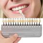 1 Set 16 Colors 3D Teeth Whitening Shade Guide Porcelain - Tooth Bleaching Shade Chart Mold - Tracking & Comparing - Dental Equipment Dentist Material - Professional or Household Oral Care (White)