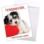 Big Funny Birthday Card - Good Boy Featuring a Cute Puppy Dog w/Envelope 8.5 x 11 Inch - Humorous Happy Birthday Greetings Card - XL Gifts, Wishes, and Celebrations J2577BDG