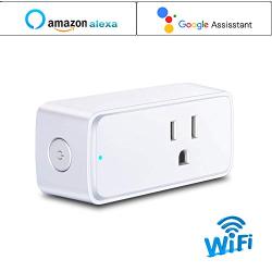 WiFi Smart Plug, RAOYI Smart Outlet Plug 2 Pack with 4 USB Charger Ports, Compatible with Alexa & Google Home, Remote Control Your Home Devices with Timer Function, FCC Certified, White