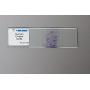 Microscope Slide Mailer (Pack of 25) | OakRidge Products | Protect Glass Slides in Shipping