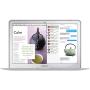 UESWILL Compatible with Smooth Matte Hard Shell Case Cover for MacBook Air 11 inch (Model A1370 / A1465), Clear