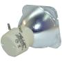 Lamp Bulb Original Replacement for Philips UHP 210-170W 0.0 E20.9