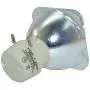 Lamp Bulb Original Replacement for Philips UHP 210-170W 0.0 E20.9