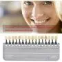 1 Set 16 Colors 3D Teeth Whitening Shade Guide Porcelain - Tooth Bleaching Shade Chart Mold - Tracking & Comparing - Dental Equipment Dentist Material - Professional or Household Oral Care (White)