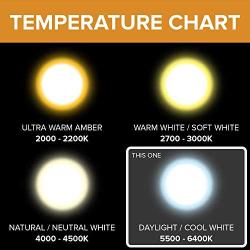 DC 12 Volt Cool White 6000k 6 Watt LED Filament ST64 Light Bulb E26 E27 Medium Base Lamp Low Voltage Marine Boat Solar Theatrical Production Stage Prop Retro Edison 12V Battery Lighting