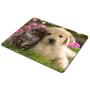Smooffly Mouse Pad Animals Cat Kitten Dog Golden Retriever Puppy Mousepad Rubber Gaming Mat 9.5 X 7.9 Inch (240mmX200mmX3mm)