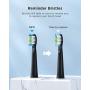 Electric Toothbrush, Fairywill Sonic Toothbrush ADA Accepted for Adults and Kids with 8 Bursh Heads, Ultra Cleaning 5 Modes 2 Hours Charging for 30 Days Use, E11 Black Rechargeable Power Toothbrush