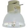 Lamp Replacement for Osram P-VIP 200/0.8 E20.8 OEM