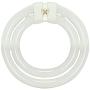 Satco S6596 3000K 55-Watt 4 Pin T9 2C Circline Lamp, Soft White