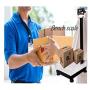 PEC Digital Industrial Bench Scale, 600 lb 12''x16'' Platform 0.02lb Readability