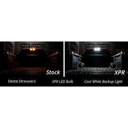 Diode Dynamics 921 XPR Cool White Backup LED Bulbs