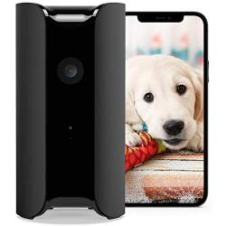 Canary View Indoor Home Security Camera with Premium Service (1 YR Free Incl.) | 1080p HD, 2-Way Talk, 30-Day Video History, Person Detection, One-tap to Police, Alexa, Google, Baby Monitor, WiFi IP