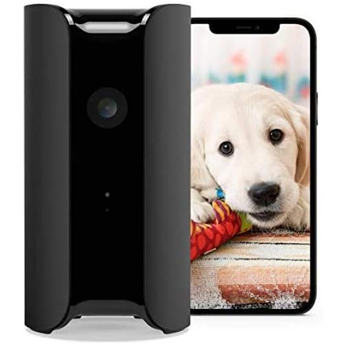 Canary View Indoor Home Security Camera with Premium Service (1 YR Free Incl.) | 1080p HD, 2-Way Talk, 30-Day Video History, Person Detection, One-tap to Police, Alexa, Google, Baby Monitor, WiFi IP