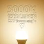 TORCHSTAR 100W Equivalent LED Garage Door Opener Light Bulb, 1500 Lumens A19 Ultra-Bright 3000K Warm White, Shock Resistant Minimize Interference, 15-Watt, UL-Listed, E26 Base, Pack of 2