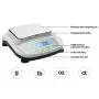 RESHY High Precision Lab Scale 2000g x 0.01g Digital Analytical Electronic Balance Laboratory Lab Precision Scale Jewelry Scale Scientific Scale 0.01g Accuracy