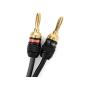 Deadbolt Speaker Wire with Banana Plugs, 10 ft, High Strand Count 12 AWG Pure Copper, OFC