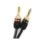 Deadbolt Speaker Wire with Banana Plugs, 10 ft, High Strand Count 12 AWG Pure Copper, OFC