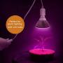 JACKYLED Extension Hanging Lantern Cord Cable UL 12Ft E26 E27 Socket On/Off Button Plug in Pendant Lighting for Kitchen Bedroom Plant Growth Light