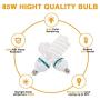 Yesker Softbox Photography Lighting Kit Continuous Photo Studio Equipment with 20x28 inch Reflector and 2 x E27 Socket 5500K Bulbs for Portraits Fashion Filming and Product Shooting
