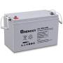 Renogy Deep Cycle AGM Battery 12 Volt 100Ah for RV, Solar Marine and Off-grid Applications, Gray