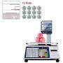 VisionTechShop DLP-300 Label Printing Scale Pole Display, 30/60lbs Capacity, 0.01/0.02lbs, NTEP Legal for Trade with a Free 1 case CAS LST-8040 UPC/Safe Handling Label, 58 x 60 mm