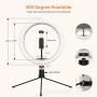 10.2’’ Selfie Ring Light with Tripod Stand&Phone Holder,Yoozon Dimmable Desktop LED Beauty Camera Ringlight for Live Stream/Makeup/YouTube Video/Vlog/TIK Tok, Compatible with iPhone & Android